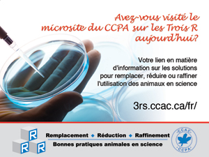 Site web des Trois R