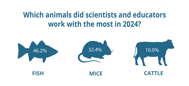 In 2024, scientists and educators worked with these animals the most: fish (46.2%), mice (32.4%), and cattle (10.0%).
