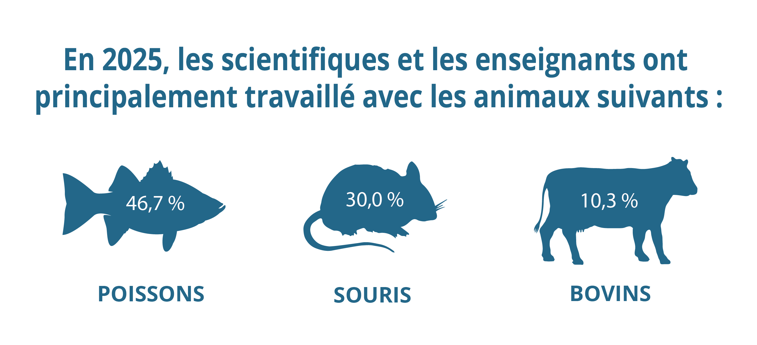 En 2025, les scientifiques et les enseignants ont principalement travaillé avec les animaux suivants : les poissons (46,7 %), les souris (30,0 %) et les bovins (10,3 %).