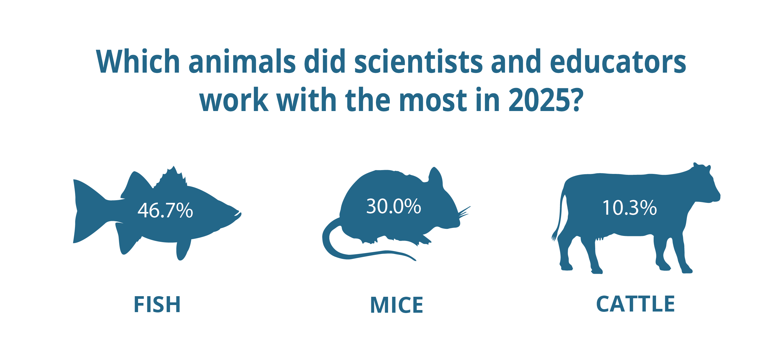 In 2025, scientists and educators worked with these animals the most: fish (46.7%), mice (30.0%), and cattle (10.3%).