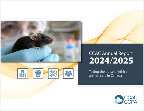 Cover of the CCAC 2024-2025 Annual Report