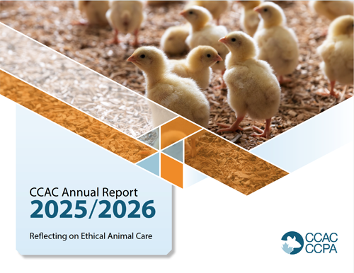 cover of the 2025-2026 CCAC Annual Report