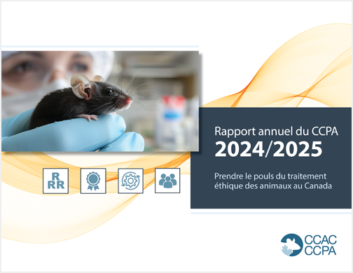 Couverture du Rapport annuel 2024-2025 du CCPA