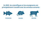 Quelques chiffres pour l’année 2025