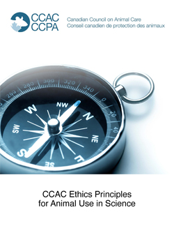 Ethics Principles cover