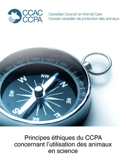 Couverture de la politique