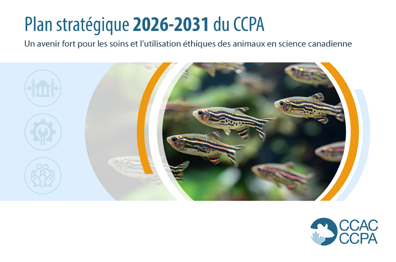 Couverture du Plan stratégique 2026-2031 du CCPA