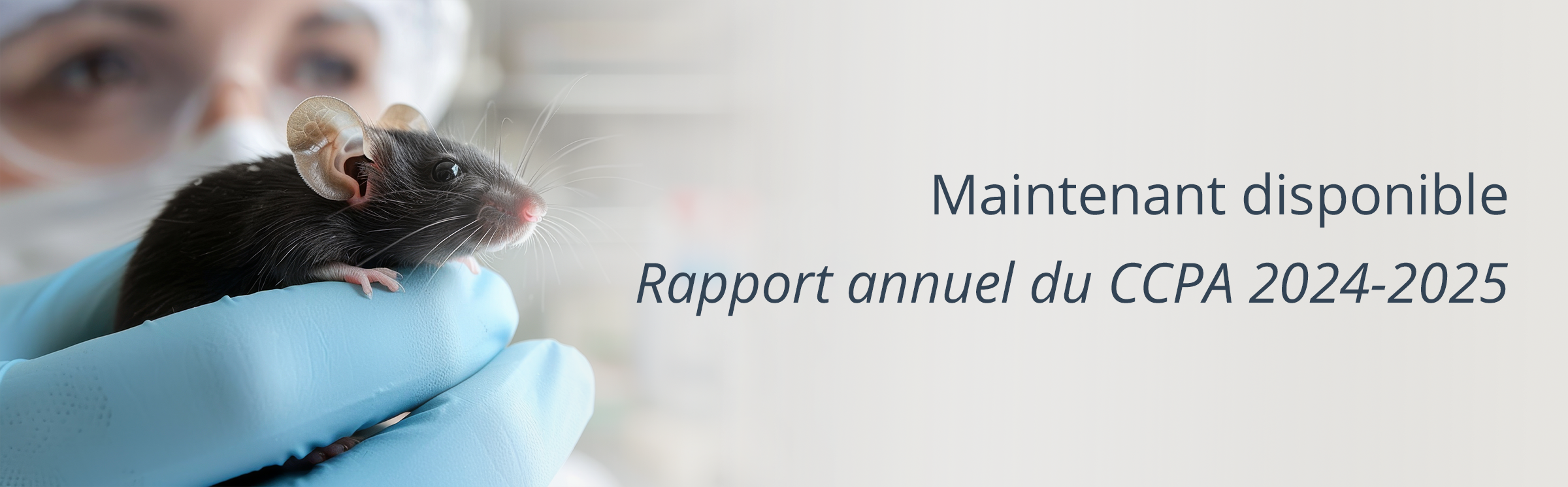 Couverture du Rapport anuel 2024-2025 du CCPA