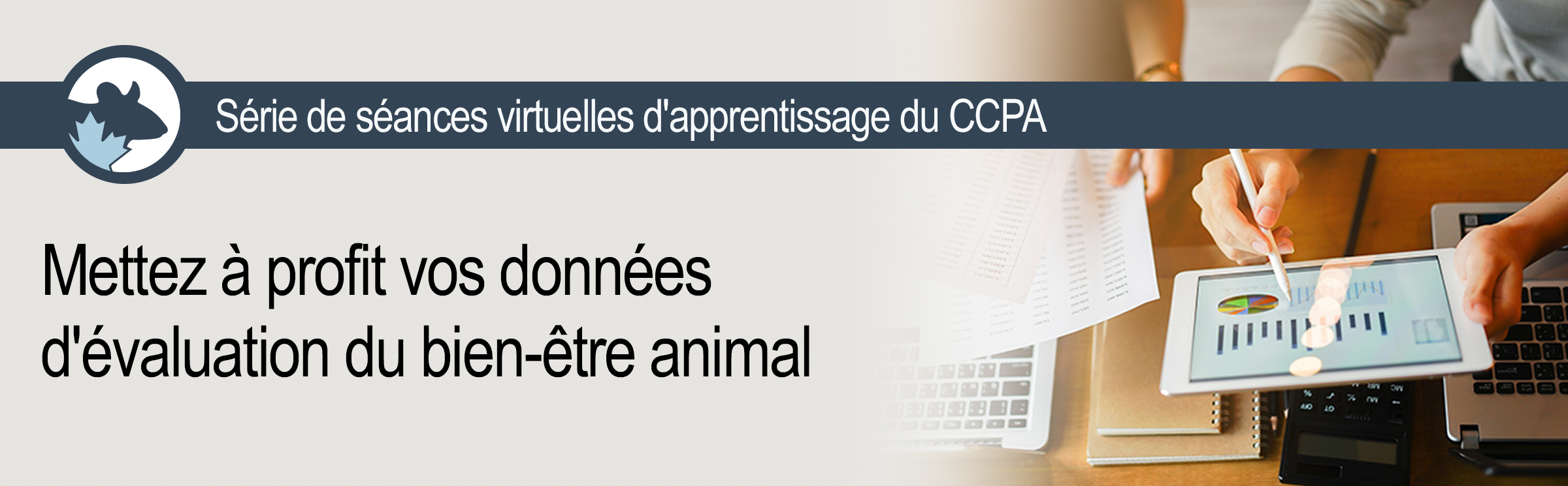 Série de séances virtuelles d’apprentissage 2026